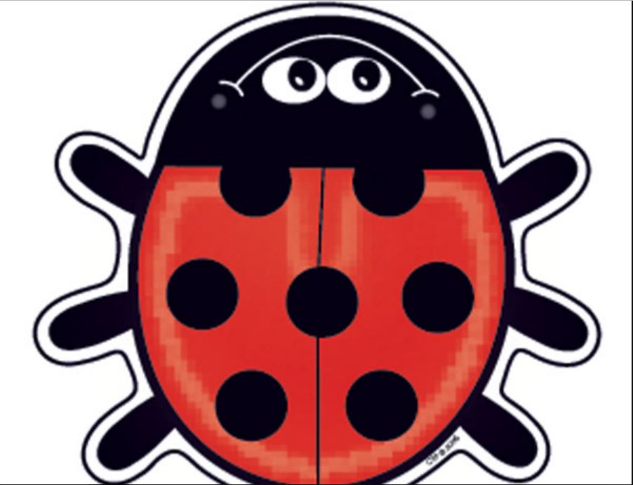 LADYBUG DESIGNER