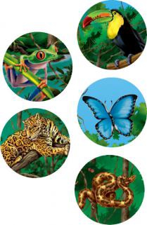 RAIN FOREST ANIMALS STICKERS